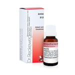 Arnica D12 Dr. Reckeweg Produktbild 1