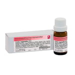 Carbo vegetabilis D12 Dr. Reckeweg Produktbild 1