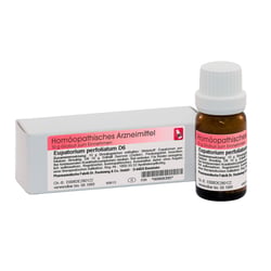 Eupatorium perfoliatum D6