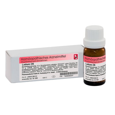 Ledum D6 Produktbild 1