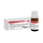 Ledum D12 Dr. Reckeweg Produktbild 1
