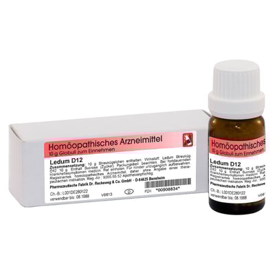 Ledum D12 Dr. Reckeweg