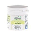 Maca Kapseln Produktbild 1