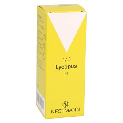 Lycopus H 170