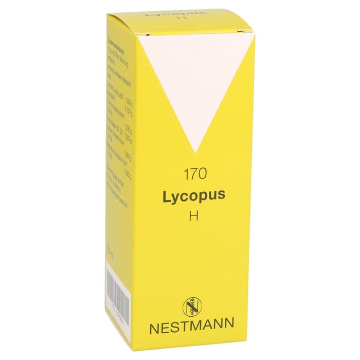 Lycopus H 170