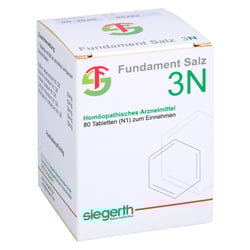 Fundament Salz III N