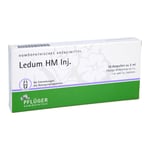 Ledum HM Injektion Produktbild 1