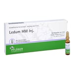 Ledum HM Injektion Produktbild 2