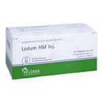 Ledum HM Injektion Produktbild 1