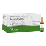 Ledum HM Injektion Produktbild 2