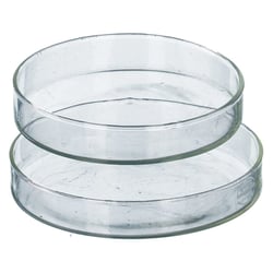 Petrischale 10 cm