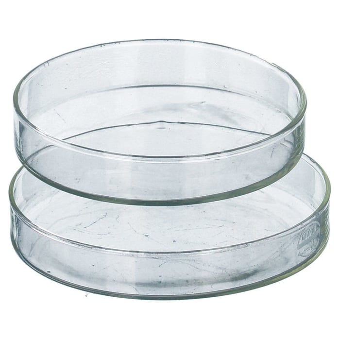 Petrischale 10cm