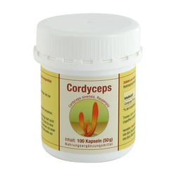 Cordyceps sinensis