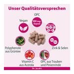 Dr. Jacob's OPC Synergie Traubenkernextrakt mit Acerola Produktbild 4