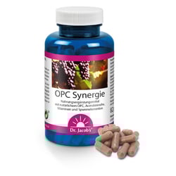 Dr. Jacob's OPC Synergie Traubenkernextrakt mit Acerola