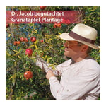 Dr. Jacob's Granatapfel-Elixier Original hochkonzentriert Produktbild 7