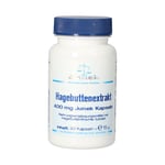 Hagebuttenextrakt 400 mg Junek Kapseln Produktbild 1