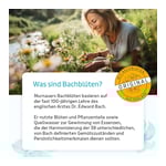 MURNAUERS Bachblüten Kopf Hoch Bonbons