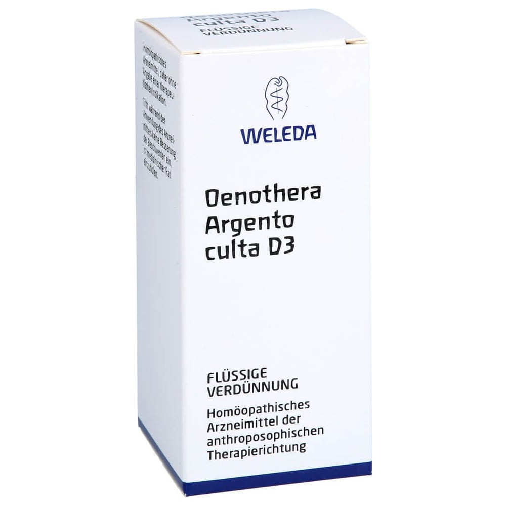 Oenothera Argento culta D 3