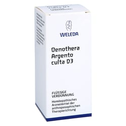 Oenothera Argento culta D 3