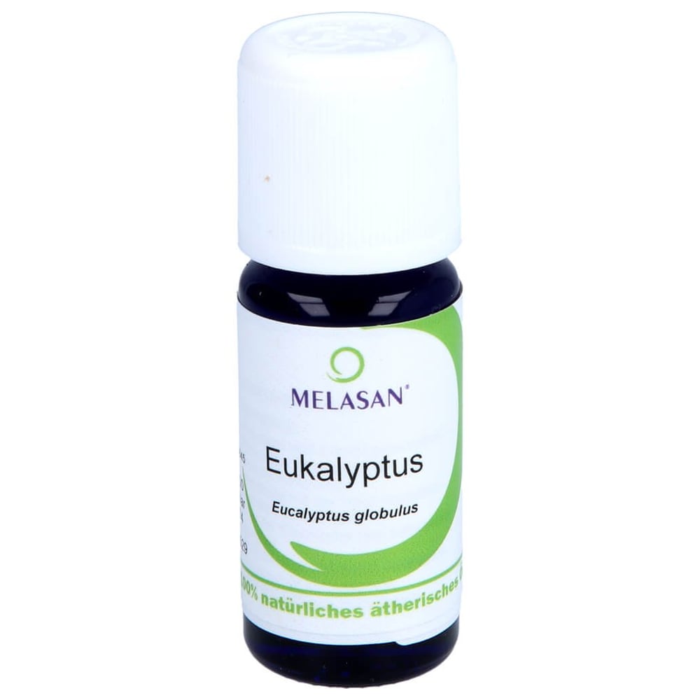 Eukalyptus aetherisches Oel