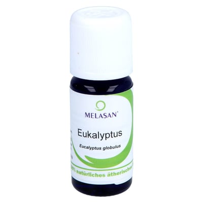 Eukalyptus aetherisches Oel