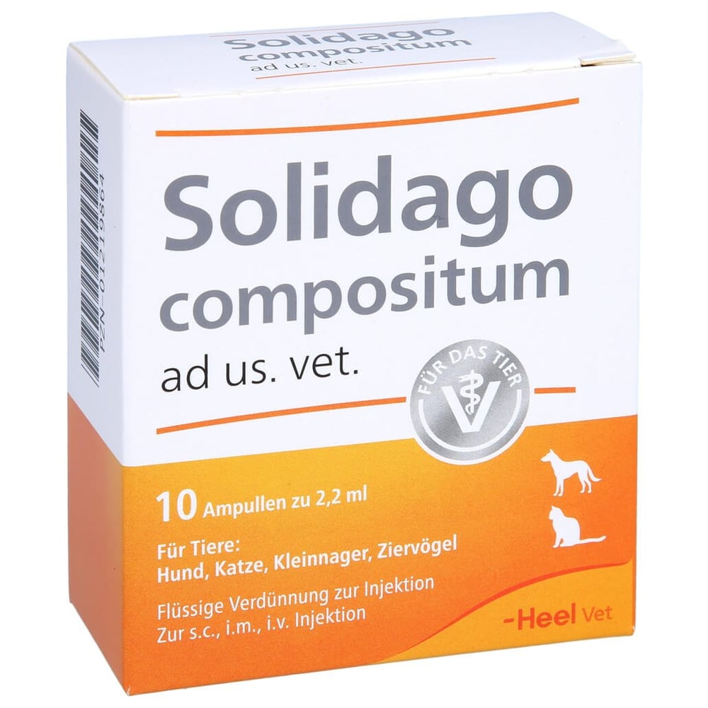 Solidago Comp Ad Us Vet