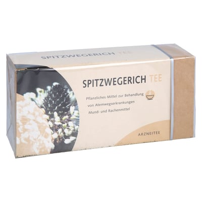 Spitzwegerichtee