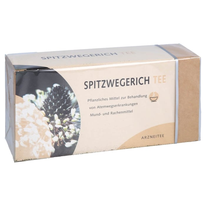 Spitzwegerichtee