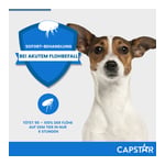 Capstar 11,4 mg Tabletten Katzen/kleine Hunde Produktbild 7
