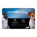 Capstar 11,4 mg Tabletten Katzen/kleine Hunde Produktbild 2