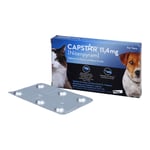 Capstar 11,4 mg Tabletten Katzen/kleine Hunde Produktbild 4
