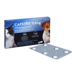 Capstar 11,4 mg Tabletten Katzen/kleine Hunde Produktbild 3