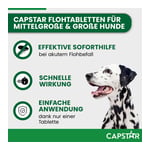 Capstar 57 mg F Gro Hunde Produktbild 6