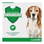 Capstar 57 mg F Gro Hunde Produktbild 7