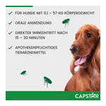 Capstar 57 mg F Gro Hunde Produktbild 8