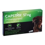 Capstar 57 mg F Gro Hunde Produktbild 1