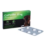 Capstar 57 mg F Gro Hunde Produktbild 3