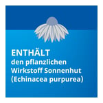 Echinacea Stada Classic 80 g/100 g