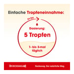 Herpes-gastreu R68 Tropfen zum Einnehmen Produktbild 4