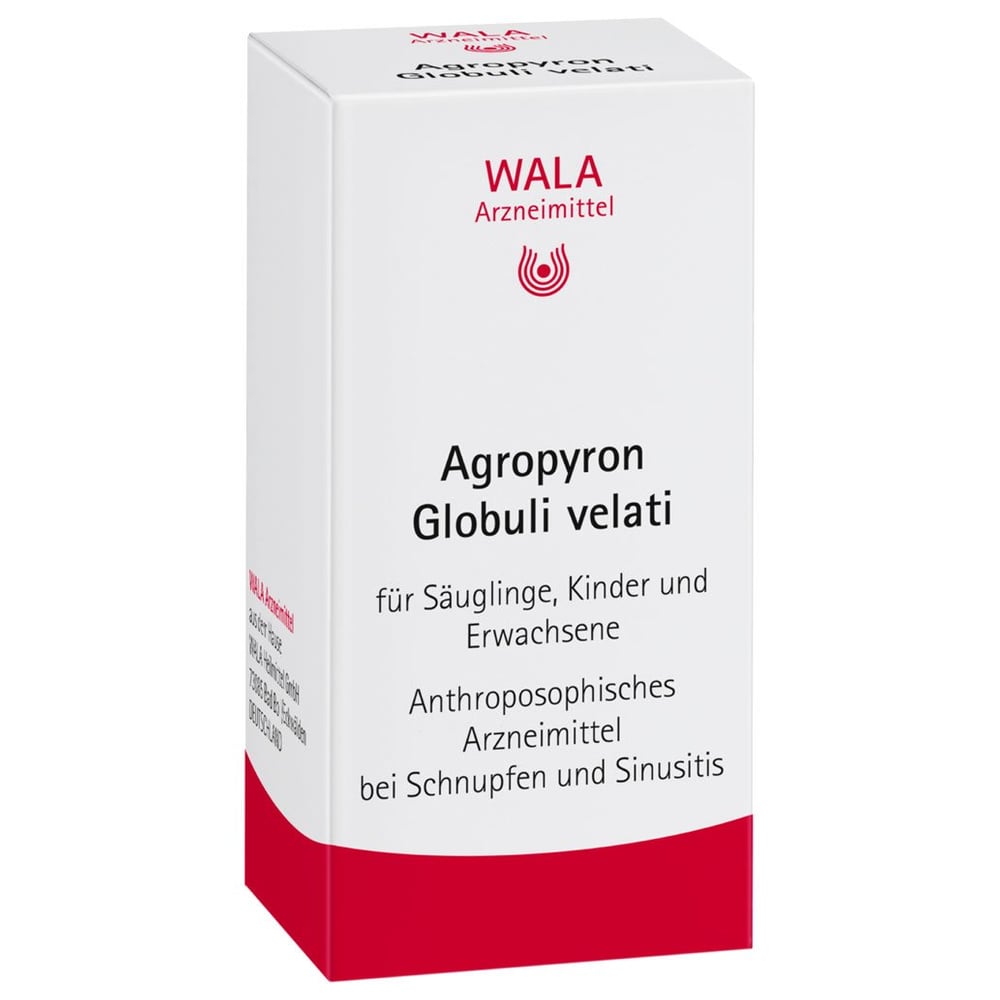 Agropyron Globuli velati