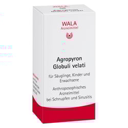 Agropyron Globuli velati