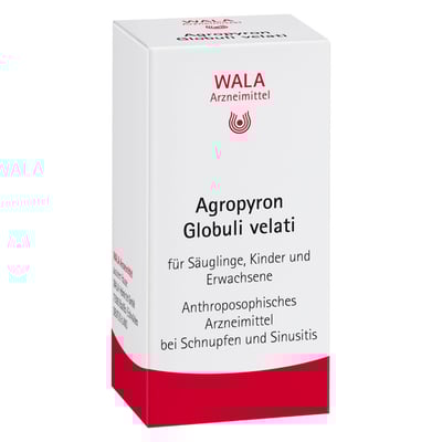 Agropyron Globuli velati