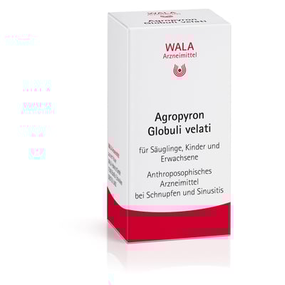 Agropyron Globuli velati