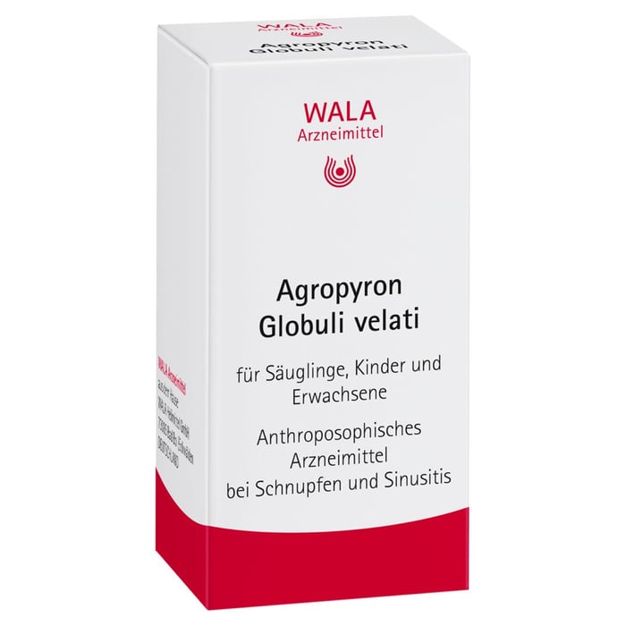 Agropyron Globuli velati