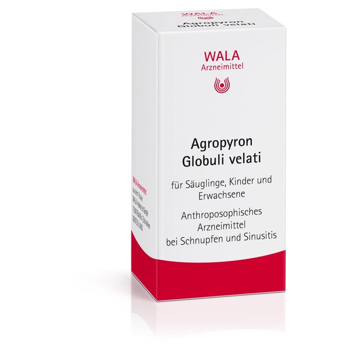 Agropyron Globuli velati
