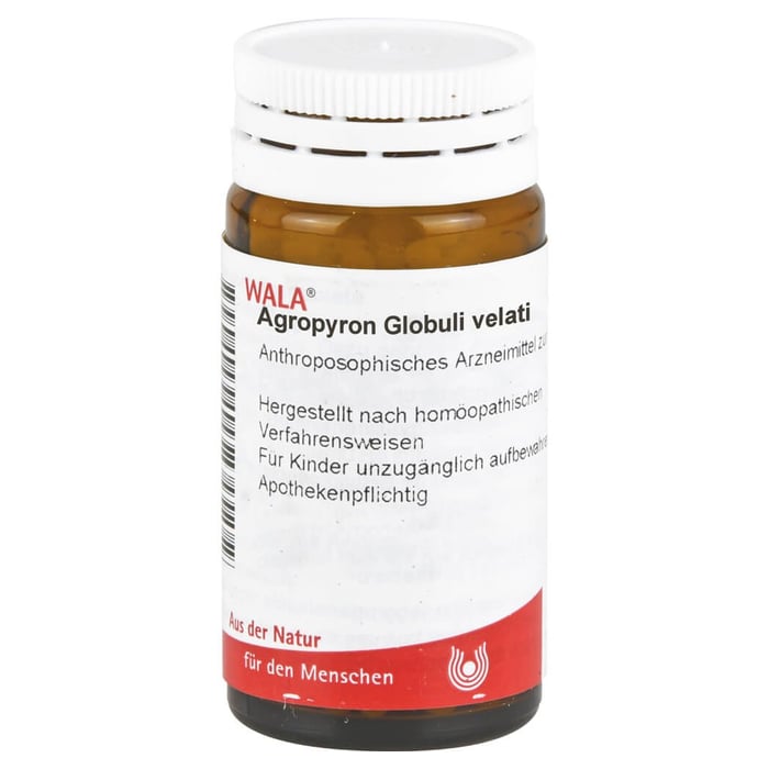 Agropyron Globuli velati