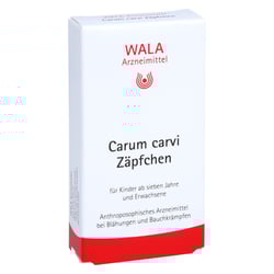 Carum carvi Zäpfchen