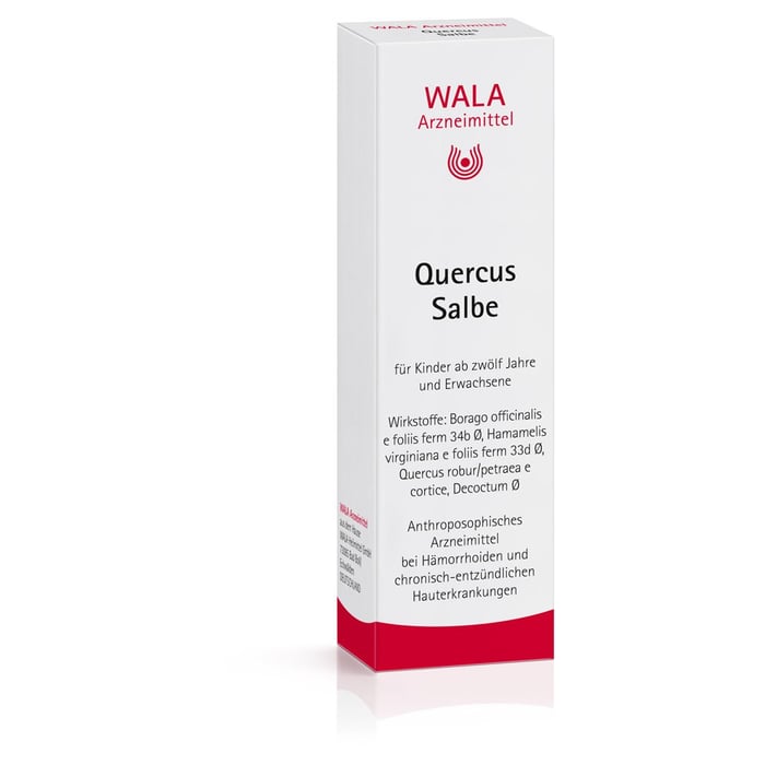 Quercus Salbe