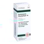 Echinacea Pentarkan H Mischung